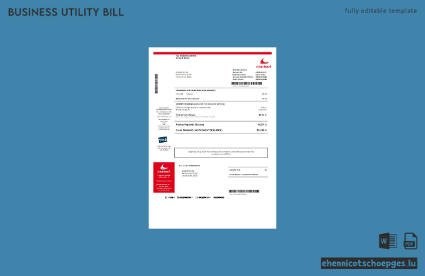 New Zealand Contact Energy – Beispiel einer Energierechnung für Unternehmen (Vorschau)